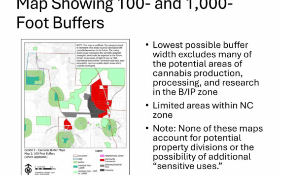 These two images show different marijuana retail zoning regulations Black Diamond councilmembers could adopt and how it could affect where those retailers could operate within the city. The red area represents where retailers can operate, and the black where marijuana producers and processors could set up. The dark green are places like schools and playgrounds (mandatory 1,000 foot barrier). The light green areas are mostly open space like Lake Sawyer Park and the Black Diamond Open Space, but also playgrounds and the community center. This image demonstrates how a 100-foot buffer between retailers and anything operating in the light green areas would affect pot shops. See below for an image with a 1,000-foot barrier. Image courtesy the city of Black Diamond