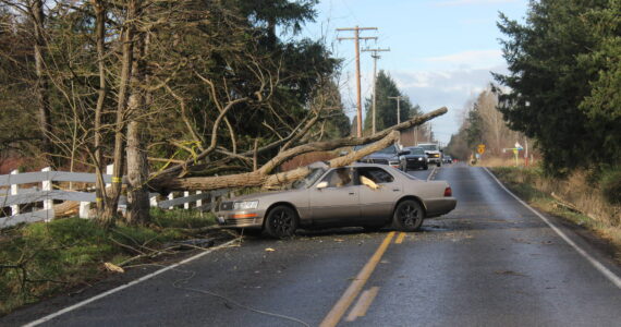 Some photos around Enumclaw after the Nov. 19 storm. Photos by Ray Miller-Still