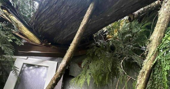 An Enumclaw family had just closed on a new home; 19 days later, the bomb cyclone sent a tree into their master bathroom. Photo courtesy Cecilee Hughs