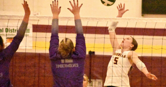 Photo by Kevin Hanson
Not only did the White River volleyball team place sixth in the state tournament, but Emery Stevenson earned an all-league honors this season.