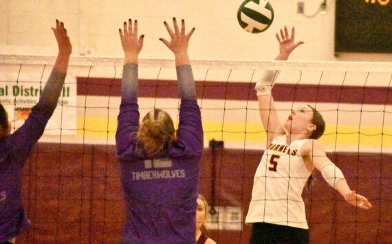 Photo by Kevin Hanson
Not only did the White River volleyball team place sixth in the state tournament, but Emery Stevenson earned an all-league honors this season.