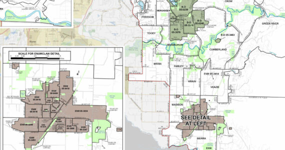 This map shows the voting precincts in the cities of Enumclaw and Black Diamond, plus the ones in unincorporated King County. Image courtesy King County