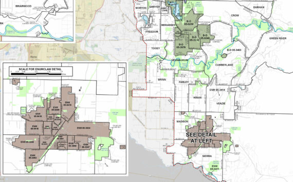 This map shows the voting precincts in the cities of Enumclaw and Black Diamond, plus the ones in unincorporated King County. Image courtesy King County