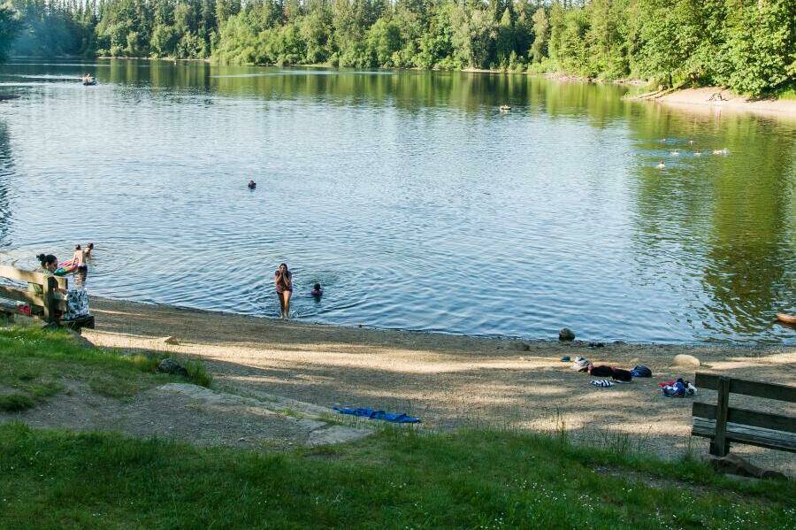 Photo courtesy Washington State Parks
Nolte Satte Park will be free to enjoy on Jan. 1, 2025 for the Washington State Parks’ First Day Hikes event. Arrive at the park at 10 a.m. for a guided tour.