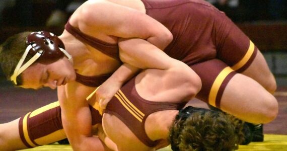 PHOTOS BY KEVIN HANSON 
Wrestlers from White River made the short trip to Enumclaw High’s Chuck Smith Gymnasium the evening of January 29 for the grappling version of the Battle of the Bridge. It was the Buckley-based Hornets who emerged victorious; see Sports Roundup for full match details. In these photos, White River’s Morgan Presly (maroon headgear) is on his way to a victory at 126 pounds and Enumclaw’s Caleb Grantham (yellow headgear) has the advantage at 144 pounds.