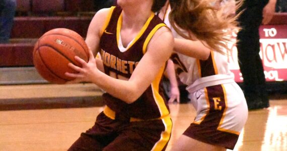 The White River High girls wrapped up an undefeated NPSL 3A season Thursday night with a road victory at Enumclaw, earning Battle of the Bridge honors for a second time this season. Here, White River freshman Kaitlyn Hewlett drives to the hoop. For game details see Hoop Roundup.
PHOTO BY KEVIN HANSON